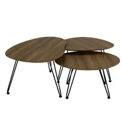 CORWIN Round Coffee Table 70cm - Walnut(Corwin Coffee Table 70cm Walnut) -Modern Furniture 132087 132088 1133096 g1 1000 6ecfa0ef d0b7 46bb a7bd c53529797aa2