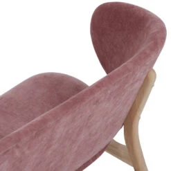 POLARA 2 Seater Lounge Chair - Oak & Salmon(Polara 2 Seater Lounge Chair Oak Salmon) -Modern Furniture 232174 D9 1000