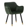 AILIN Armchair Chair - Olive & Black(Ailin Dining Chair Olive) -Modern Furniture 241276800