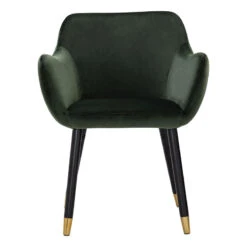 AILIN Armchair Chair - Olive & Black(Ailin Dining Chair Olive) -Modern Furniture 241276 A800