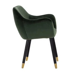 AILIN Armchair Chair - Olive & Black(Ailin Dining Chair Olive) -Modern Furniture 241276 B800
