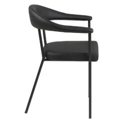 LAVA Dining Chair - Black(Lava Dining Chair Black) -Modern Furniture AC 0000099566sideview 1000