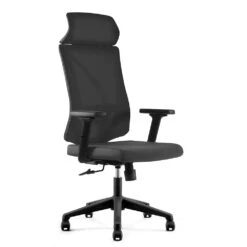 FRODE Executive Office Chair With Headrest - Black(Frode Executive Office Chair With Headrest Black)