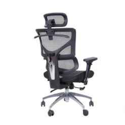 BIRGER Executive Office Chair With Headrest - Black(Birger Executive Office Chair With Headrest Black) -Modern Furniture DF TX661A 1Back 800