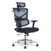 BIRGER Executive Office Chair With Headrest - Black(Birger Executive Office Chair With Headrest Black) 2 BIRGER Executive Office Chair With Headrest - Black(Birger Executive Office Chair With Headrest Black) -Modern Furniture DF TX661A 1NEW 1000