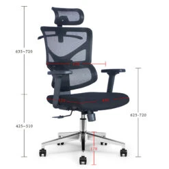 BIRGER Executive Office Chair With Headrest - Black(Birger Executive Office Chair With Headrest Black) -Modern Furniture DF TX661Adms 800 de6dba0e b7f2 45b0 b9e6 f25485a55777