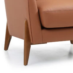 JUNO Lounge Chair - Tan & Walnut(Juno Lounge Chair Tan Walnut) 17 JUNO Lounge Chair - Tan & Walnut(Juno Lounge Chair Tan Walnut) -Modern Furniture MS SF409 726 1closeup1 1000
